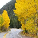colorado changing leaves October 2016