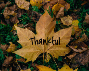 leaf with word thankful